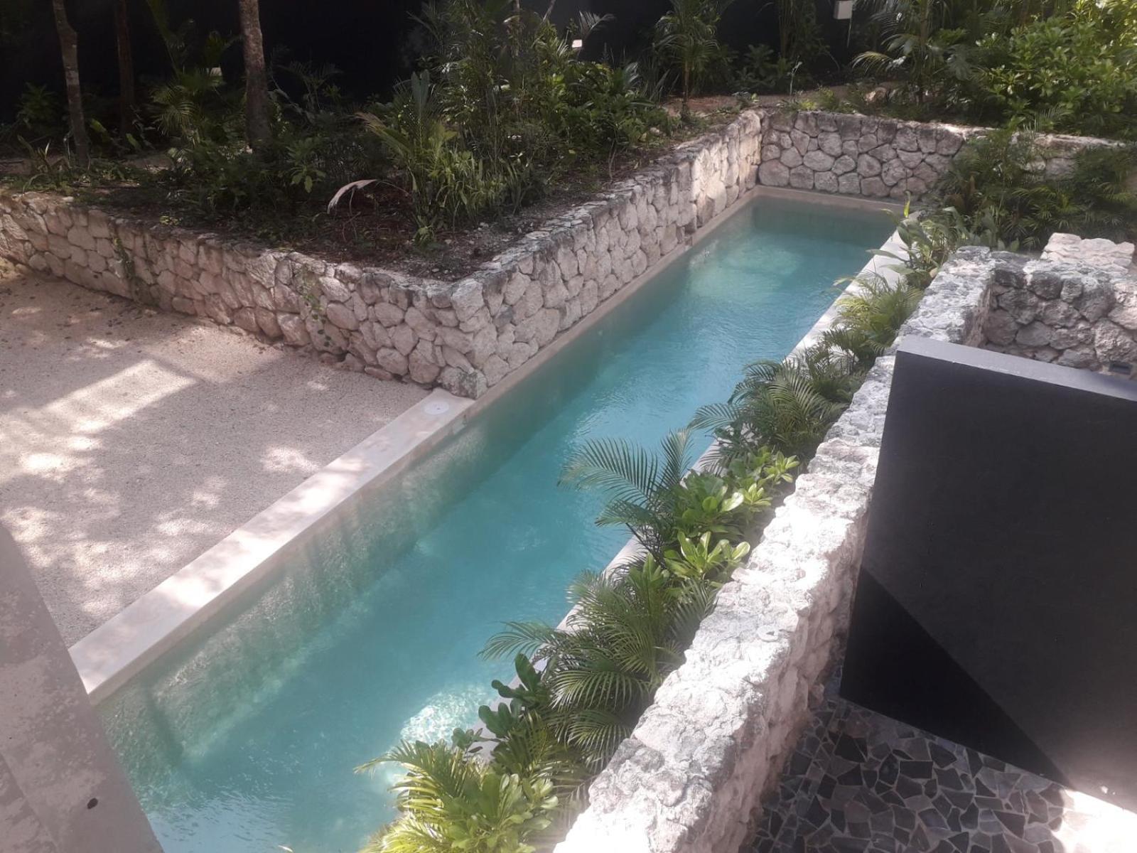 טולום New Luxury Suite Con Plunge Pool Privado מראה חיצוני תמונה